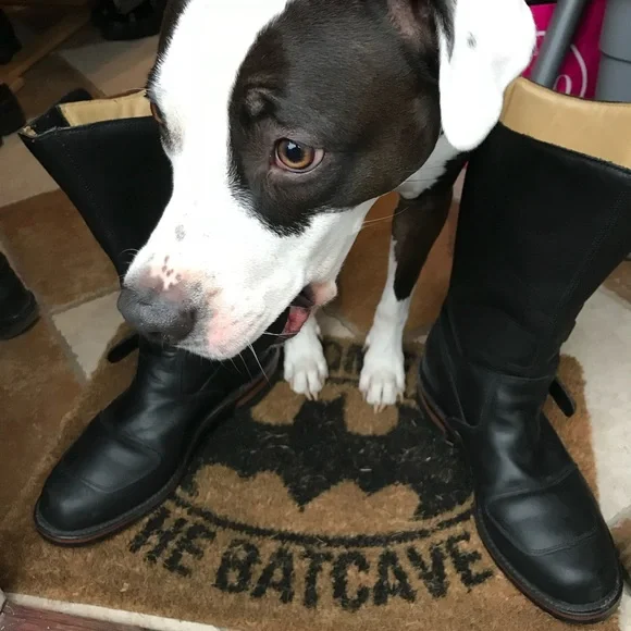 Chippewa Engineer Boots.
Worn twice. - Picture 5 of 7